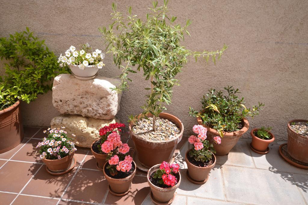 La Casa De Las Aldeas Daroca Εξωτερικό φωτογραφία